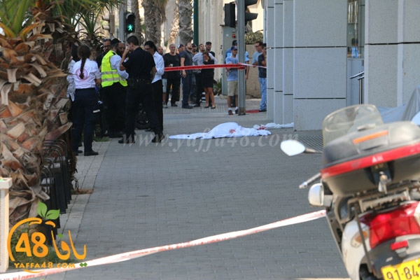 masra3 sha7shsj (1).jpg